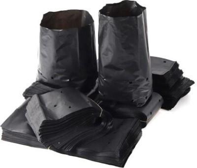 greengrow Grow Bags for Home Garden (Black , 12 X 12 inch) Pack of 40 QTY Grow Bag