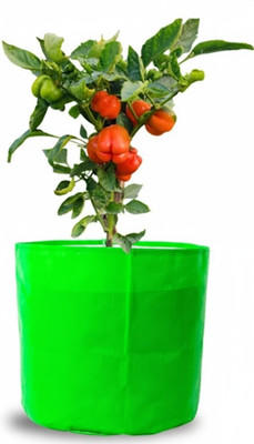 Future Organic System Green Grow bag -240 gsm 18*18- 1 sheet, Indoor,outdoor,terrace,balcony gardening Grow Bag