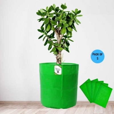 ORGANICBAZAR 12x18 Grow Bag for Terrace Garden,, Premium HDPE 260 GSM, Green Plant Bag Pack of 5 Grow Bag