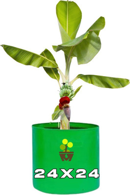 MASHKI Green Bags For Plants, Of Size 24x24 Inches, Hdpe Grow Bags, Plant Bags, Bag Plant Grow Bag