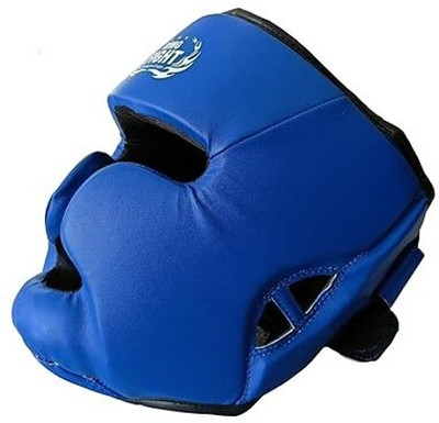 house of common MMA Training Muay Thai Full Face Protection Sparring Helmet Head Protector Boxing Head Guard(Blue)