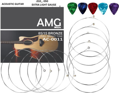 AMG Music Acoustic Guitar e 1st String Pack of 10 Light Stainless Steel String with 5 Picks Guitar String(Pack of 10, 10 Strings)