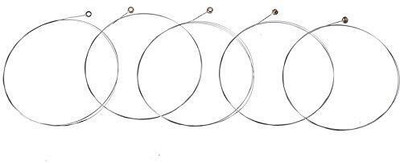 Flare Acoustic 5 Pcs E-1(1st String ) Silver Tone Steel Guitar Strings Accessories Guitar String(Pack of 5, 5 Strings)