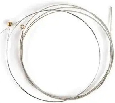 Flare Acoustic Stainless Steel Acoustic Guitar string 1st E String 2 pc, 2nd B string 2 pc Guitar String(Pack of 4, 4 Strings)