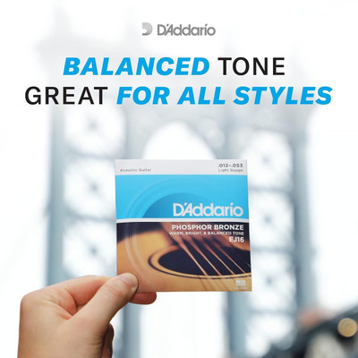 D'ADDARIO Acoustic EJ16 Acoustic 12-53 Light Guitar Strings Guitar String(6 Strings)