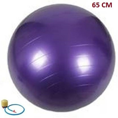 Sports Era Premium Gym Ball Anti Burst 65 cm with Foot Pump Gym Ball Gym Ball(With Pump)