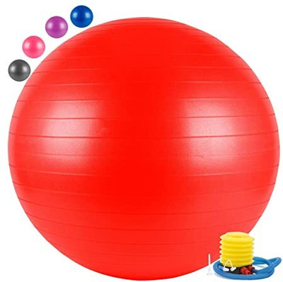 HOMFRO Rubber Anti-Burst Gym Ball, Round Shape, 65 cm Gym Ball(With Pump)