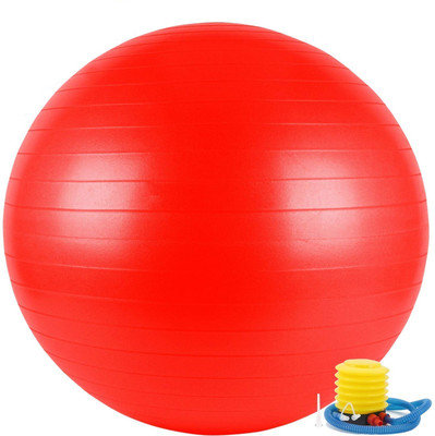 ROSAIRES Anti-Burst Exercise, Non-Slip Stability, Extra Thick Fitness 65 CM Gym Ball(With Pump)