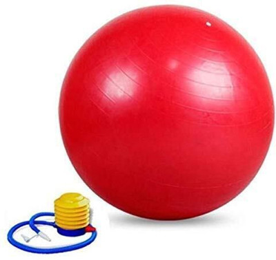 PAVITYAKSH GYM BALL 65 CM Exercise Ball Gym Ball(With Pump)