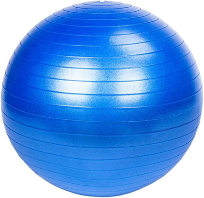Zovilstore Unisex Anti-Burst Exercise Gym Ball 65cm with Pump - Exercise Rubber Ball Gym Ball(With Pump)