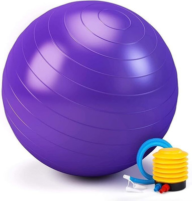 AQUARIUSSTORE 65cm Anti-Burst Exercise Gym Ball Yoga Ball with Hand Pump Gym Ball(With Pump)