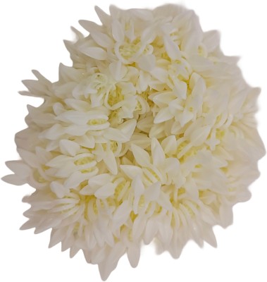 Anunomi Fashion Scented Premium Jasmine Flower Mogra Juda Gajra for women (Pack of 2) Bun(White)