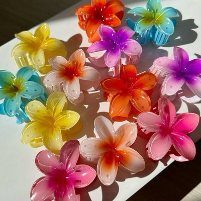 ShopCircuit Beatiful Durable Elegant Hair Clutcher for Girls Women Hair Accessory Set(Multicolor)