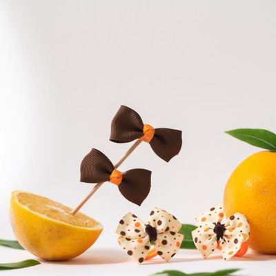RibbonCandy Cute combo One pair of Alligator Clip and A Pair of Rubberband - Brown, Orange hair combo(Brown, Orange)