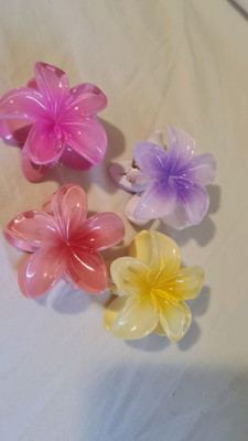 ShopCircuit Beatiful Durable Elegant Hair Clutcher for Girls Women Hair Accessory Set(Multicolor)