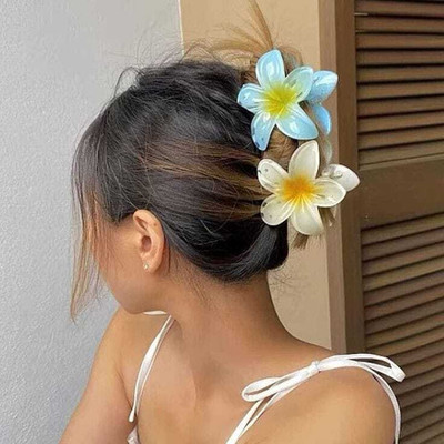 Gleba 2 Pack Plumeria Claw Clips for Hair Large Claw Clips for Girls and Women Hair Claw(Multicolor)
