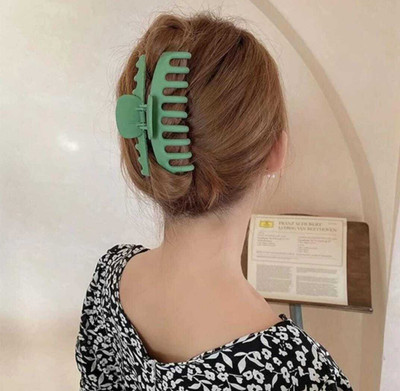 Misa MSA-SC3-SPRINGF-2 Hair Clip(Multicolor)