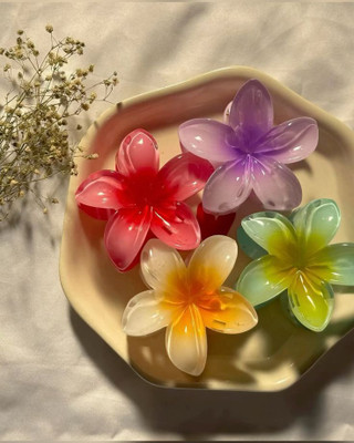 Glamezone Beatiful Durable Elegant Hair Clutcher for Girls Women Hair Accessory Set(Multicolor)