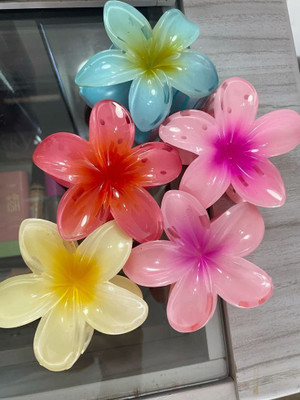 ShopCircuit Beatiful Durable Elegant Hair Clutcher for Girls Women Hair Accessory Set(Multicolor)