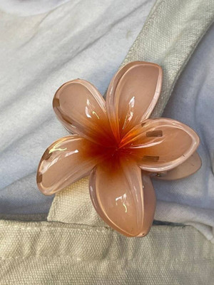 ShopCircuit Beatiful Durable Elegant Hair Clutcher for Girls Women Hair Accessory Set(Beige)