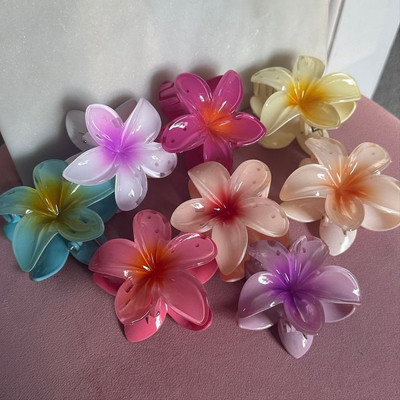 Elecsera Beatiful Durable Elegant Hair Clutcher for Girls Women Hair Accessory Set(Multicolor)