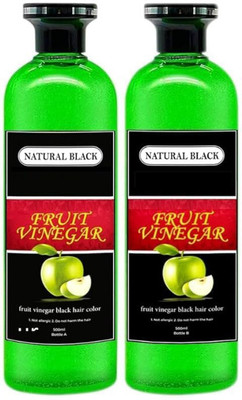 SA Trade Fruit Vinegar Gel Hair Color Natural Hair Color Dye (500ml x 2) | Made In India , BLACK