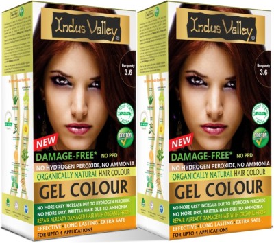 Indus Valley Organically Natural Damage Free Gel Hair Color,No Ammonia Hair Pack of 2 , Burgundy 3.6