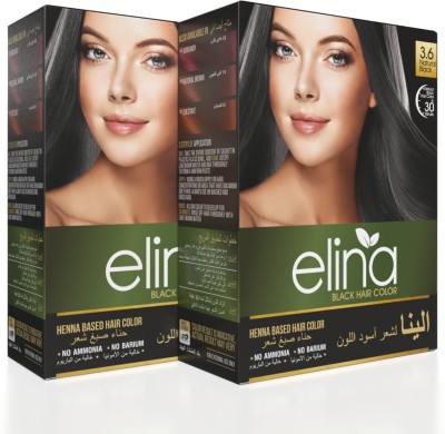 ELINA Henna Based Hair Color Powder | Men & Women| Ammonia Free| Pack of 2 (120g ) , Black