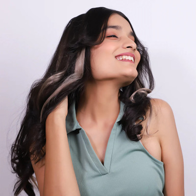 Hairarchy Ash Clip-In  Streak 20 Inch Pair Hair Extension