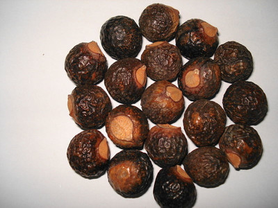 JKB TRADERS Premium Quality Herbal Reetha Soap Nuts Raw Dried, Natural Ritha (Aritha)(250 g)