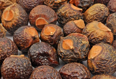 JKB TRADERS REETHA - RITHA - SOAP NUT - SOAPNUT - ACACIA CONCINNA Seed(200 g)