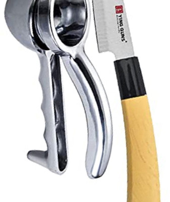 shruthi Steel Hand Juicer(Silver)