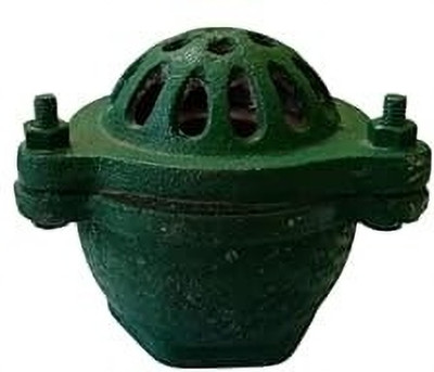 Implemental Cast Iron Foot Valve (2 Inch) Check Valves