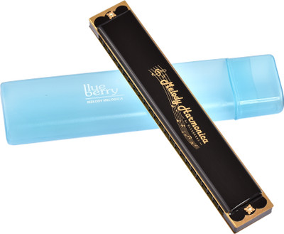 BLUEBERRY H-2401-Black 24 Holes Key C Mouth Organ | 48 Tone | With Case Harmonica(Black)