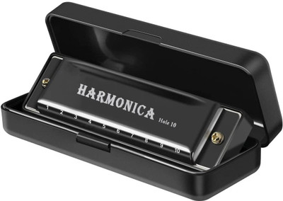 STYLEMBR 10 Holes 20 Tones Profession Key of C Harmonica(black)