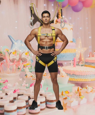 Safetysfs Premium Safety Harness SH-1010 Full Body Harness(Free Size)