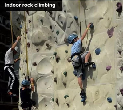 Safetymust Construction Safety Harness SH-303 Full Body Design Safety Harness(Free Size)