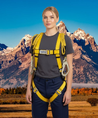 Safetysfs Premium Safety Harness SH-1014 Full Body Harness(Free Size)