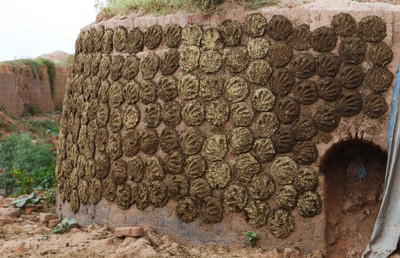 deshmed Cow Dung pack of 5 pcs