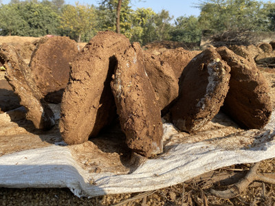 LSV Made of Pure Desi Cow Dung Cake for Havan/ Homa Pooja 5 inch Large 26 piece