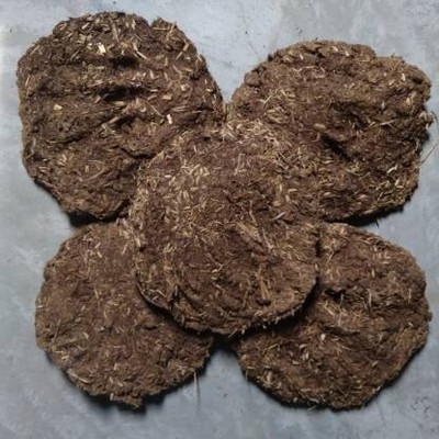SharanyaD Pack of 5 Big Sized Cow Dung Cake