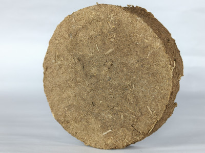 AA ENTERPRISES CDCR10CM(380 g)