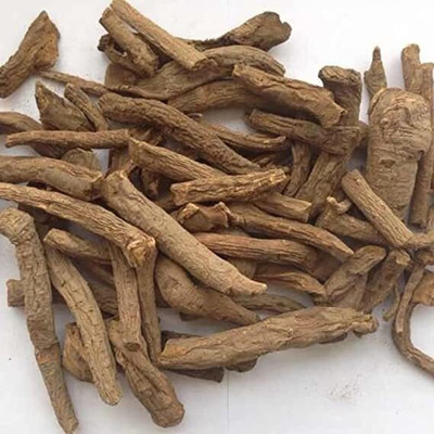 HERBALISM Nirgand Nirgundi root Vitex Negundo Root Dried 400gm.(400 g)