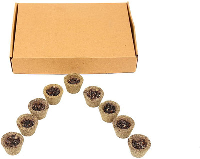 WQT Gugal Dhuni Havan Cup 12pcs ( Pack of 1)for Daily Puja Havan/Dhuni Charcoal Free(0.1 g)