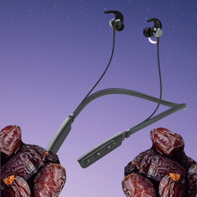 GPQ STORE Rokerz 235 Pro Wireless Bluetooth Neckband(0.1569 Bluetooth(Black, In the Ear)
