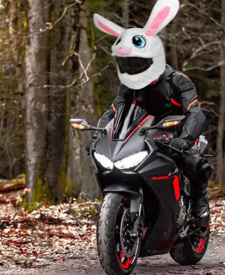 V VANTRA Cost to Cost White Bunny Motorcycle Helmet Covers Suitable for Riders Helmet Buckle Clip