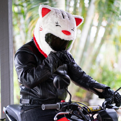 HemuCovers Cat Helmet Cover Motorbike Helmet(White, Red)