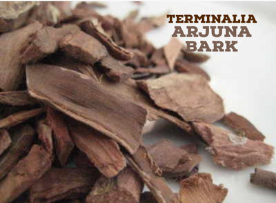 SS520 Arjun chhal-arjun Bark-Arjun ki Chal dried Terminalia Arjuna 50 gm(50 g)