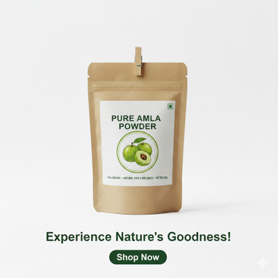 Pranacharya Greenshield Pure Herbal Amla Powder – Natural Hair & Skin Nourisher(200 g)