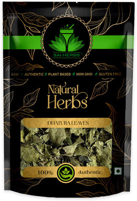 SAI HERBS Dhatura Leaves - Pure & Natural(100 g)